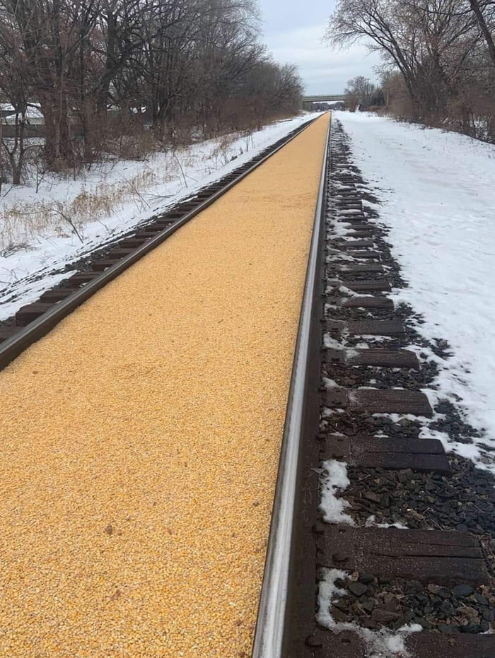 A train car in Minnesota carrying corn had a leak. 9GAG
