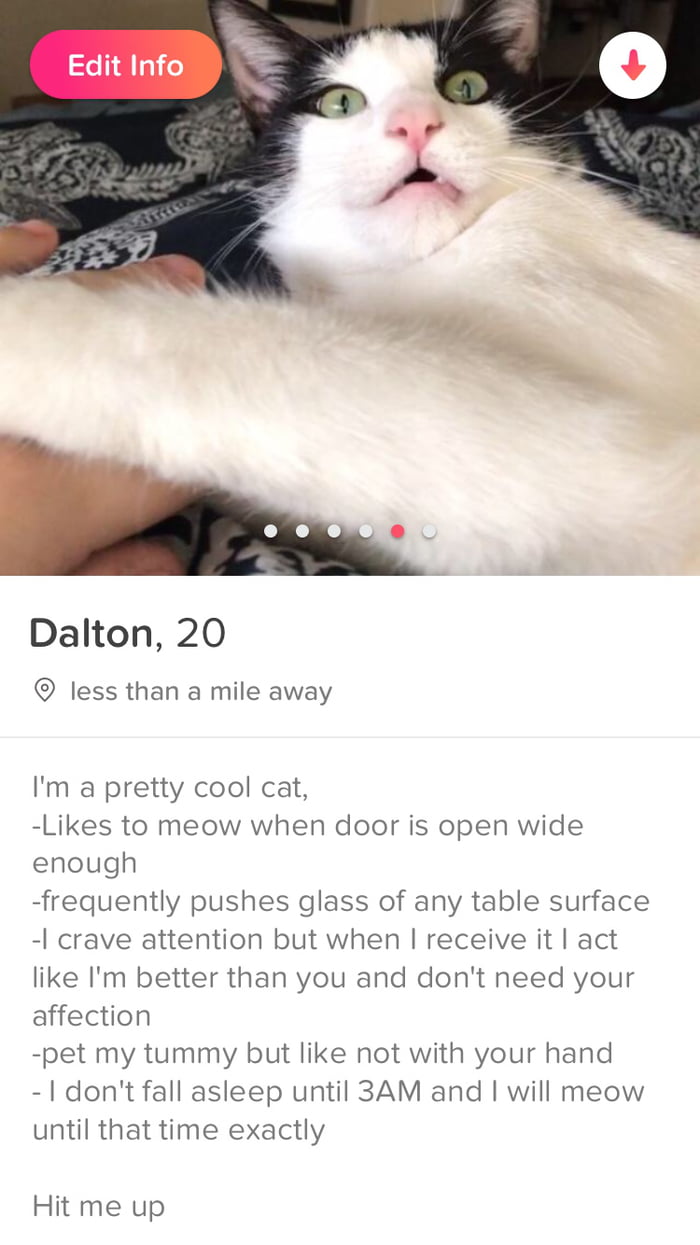 For cat tinder If Cats