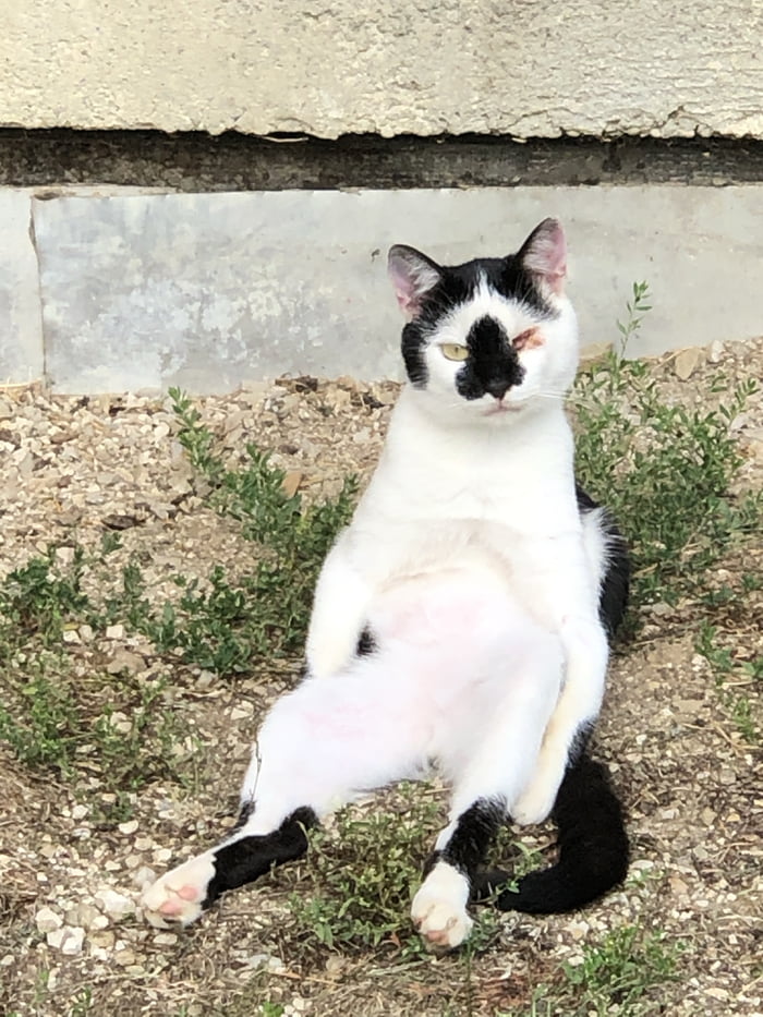 She said, let me sit down like you. 9GAG