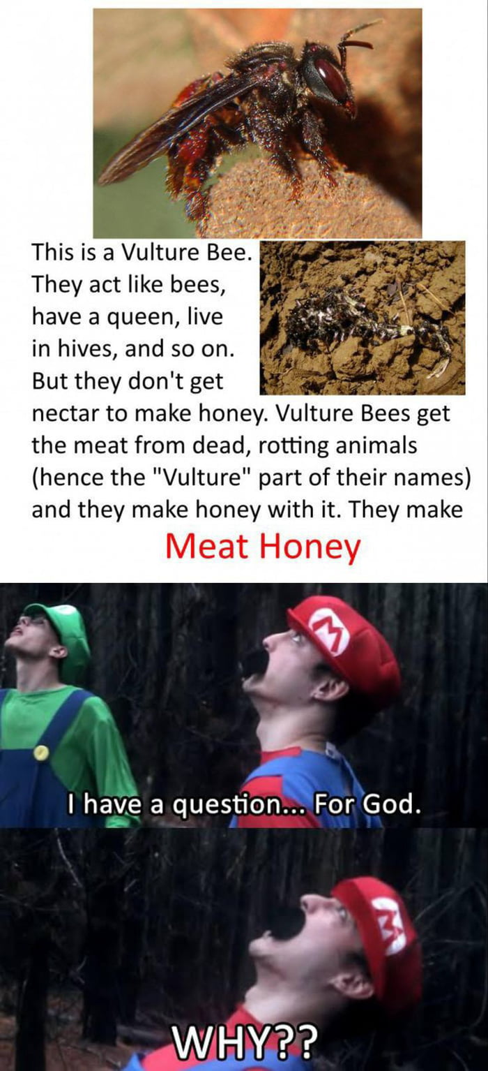 Make sweet honey from your very soul - 9GAG