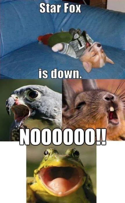 Do a barrel roll - 9GAG