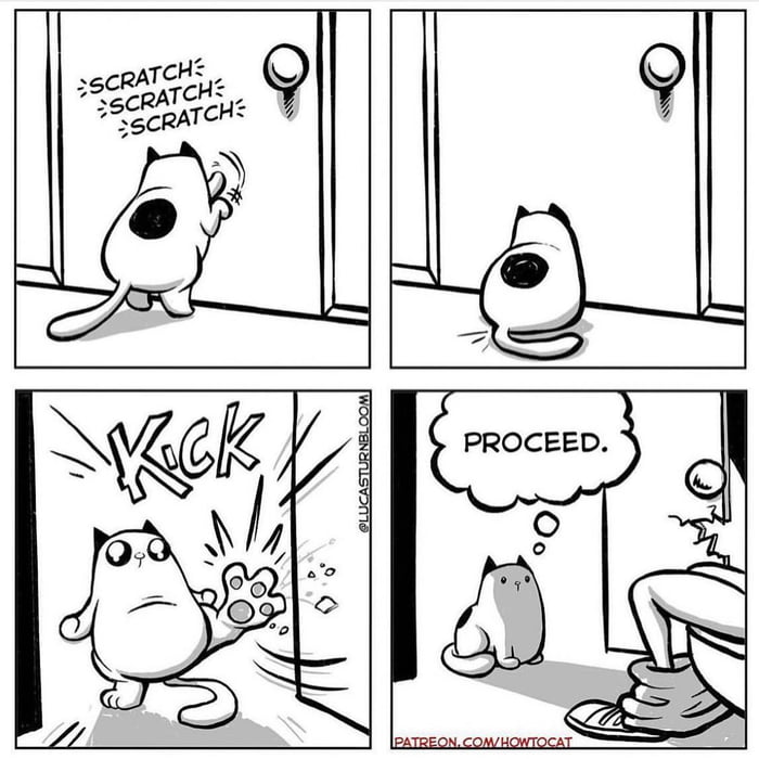 How to cat - 9GAG