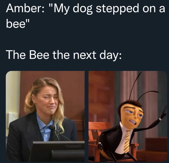 My dog stepped on a beeeee 