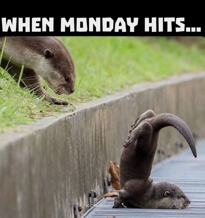 When Monday hits too soon - 9GAG