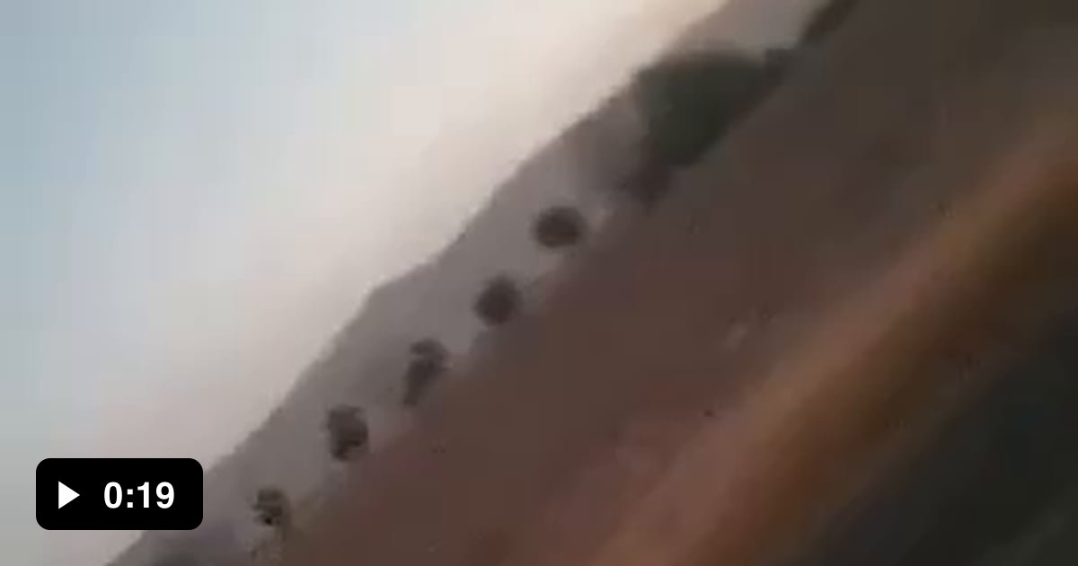 Bleeding shock absorbers..!! 9GAG