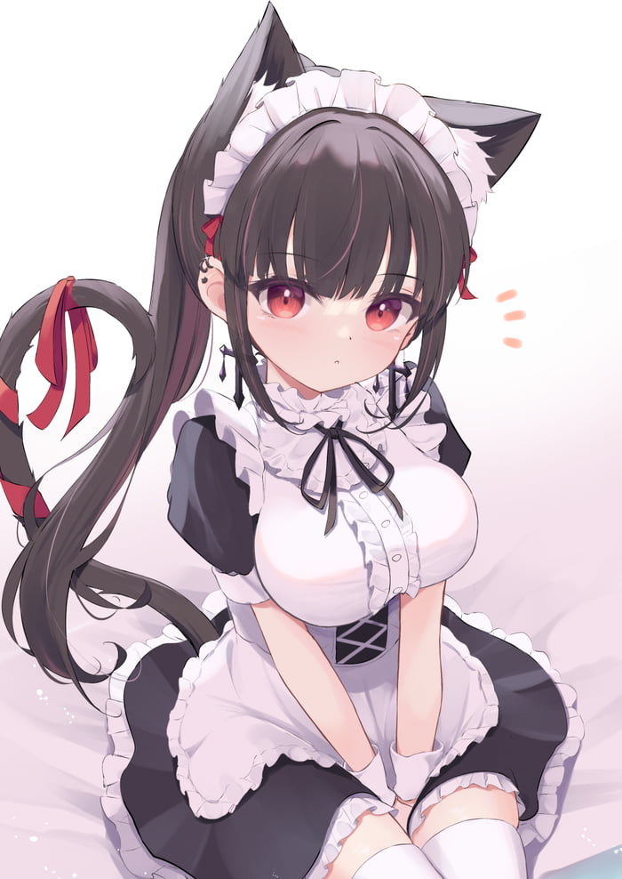 Neko Maid - 9GAG