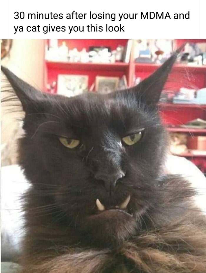 Why So Serious 9GAG Why so serious 9gag