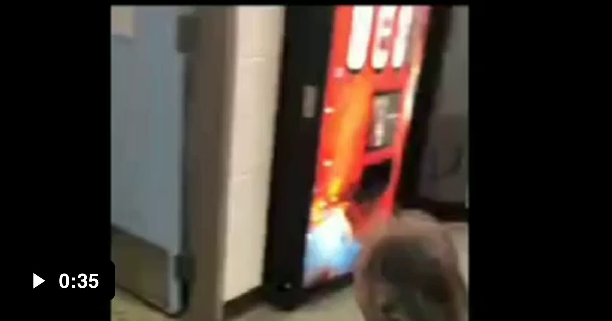 Homeless man reunited with Lost Dog - 9GAG