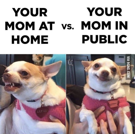 Fits perfectly for a mother - 9GAG