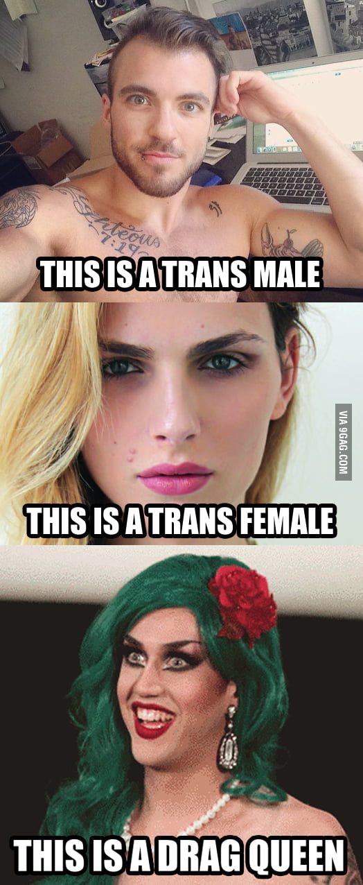 Tranny Memes