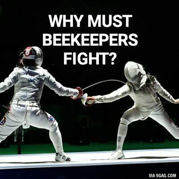 Why must beekeepers fight? 9GAG