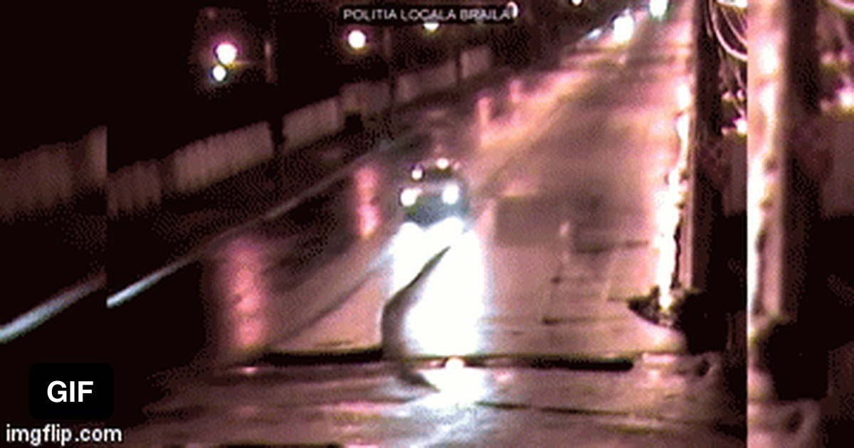 Car jumps over roundabout. 9GAG