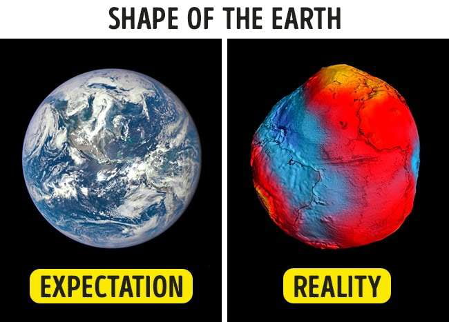 the earth is neither flat or round