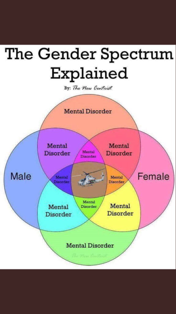 The Gender Spectrum Explained 9gag 