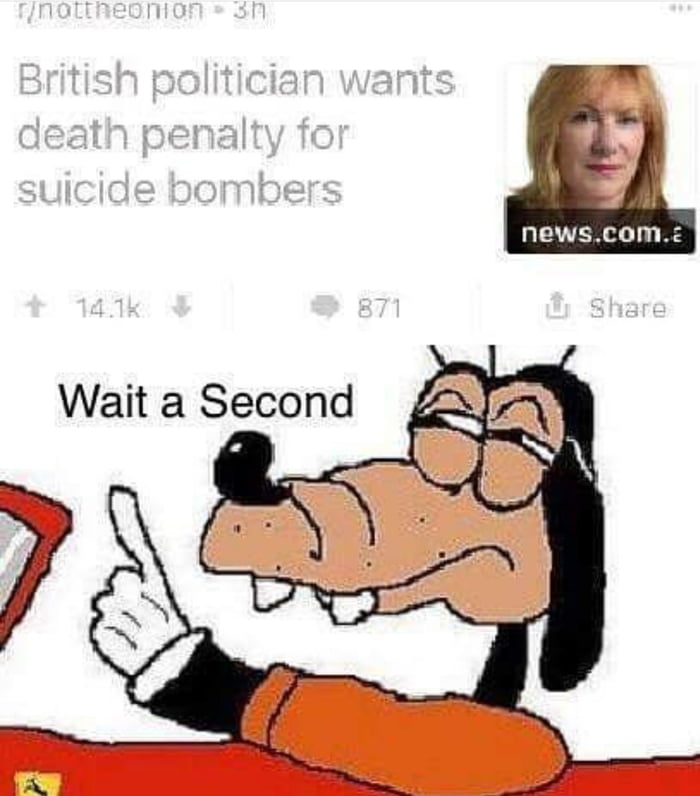 Dumb Thots