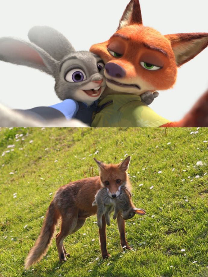 Zootopia instal the new for ios