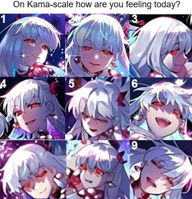 Alright My Fellow Degenerates You Have Heard Of The Cat Scale Well How About A Kama Scale 9gag