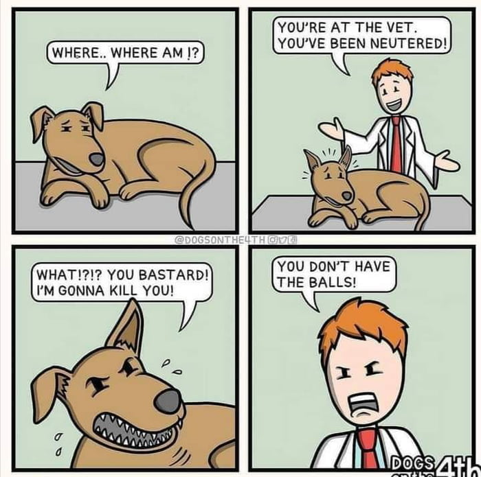 You don't have the balls! 9GAG