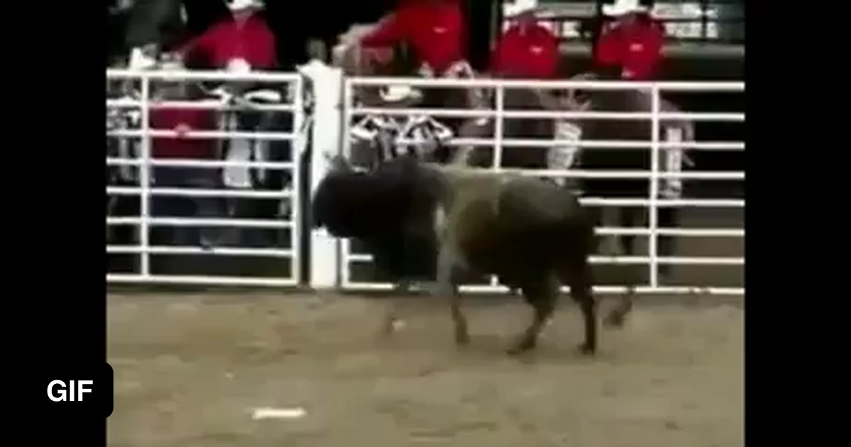 Bull Shitting Gif