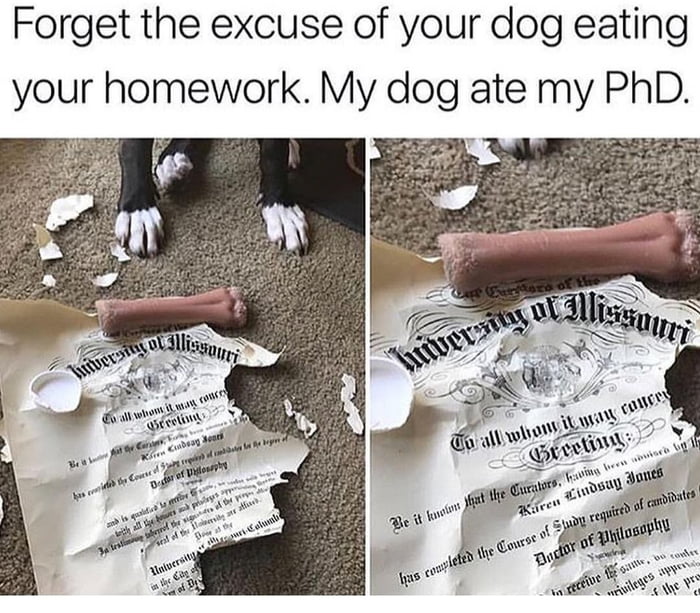 When your Dog ate your Philosophy homework.