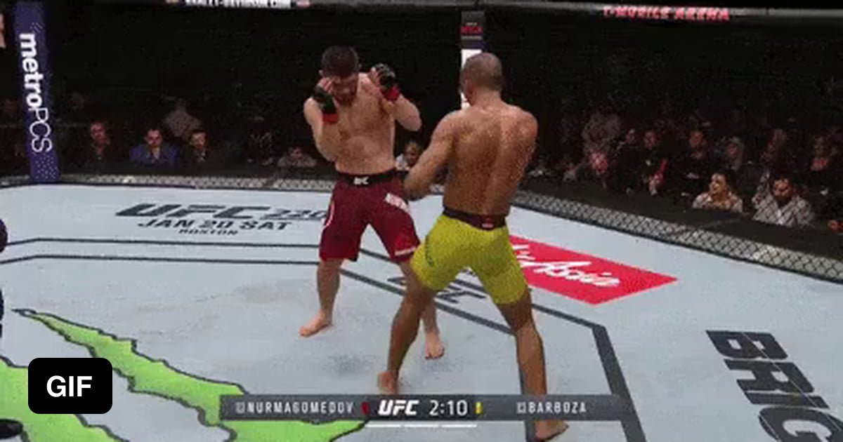 Edson Barboza attempts a spinning wheel kick on Khabib Nurmagomedov 9GAG