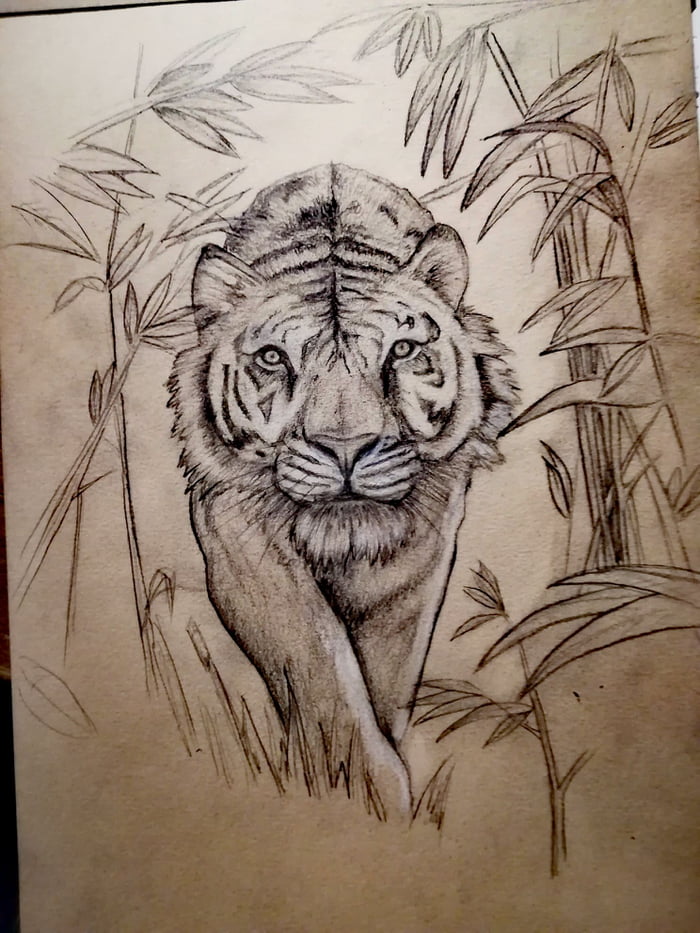 First ever post. Trying to develop my drawing skills. Thoughts? - 9GAG