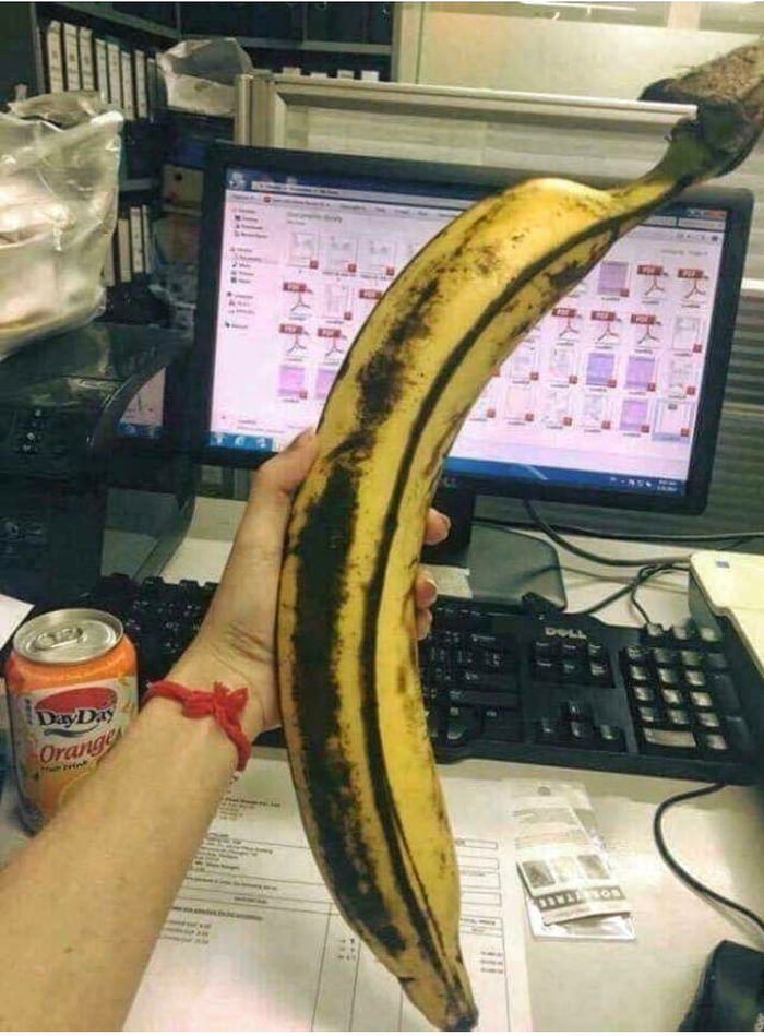 Not Mine I Presume This Is Hull s Banana 9GAG Not mine i presume this is hull s banana 9gag