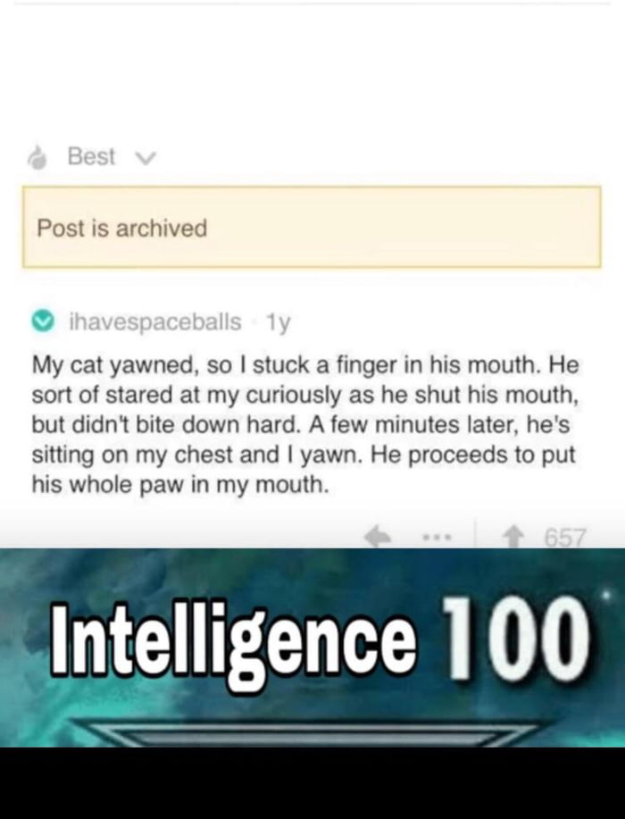 Intelligence Gag