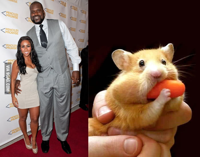 Shaq And His Girlfriend Hamster