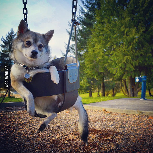 I M Just Chillin Meaning