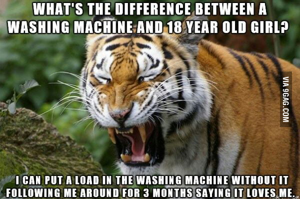 Inappropriate Tiger Joke GAG