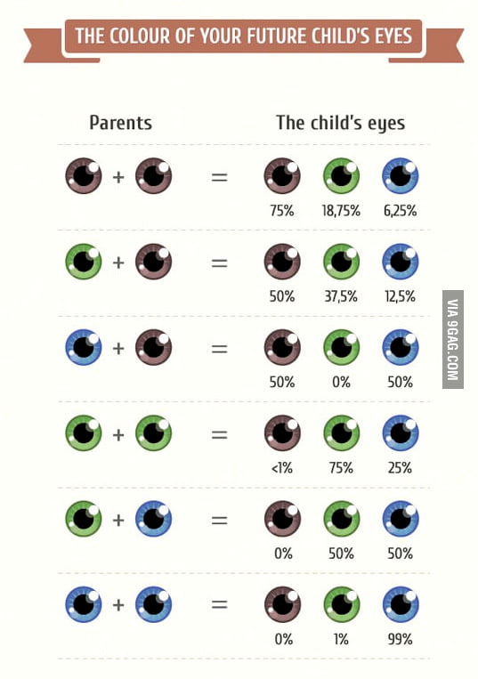 Eye Color Percentage Chart