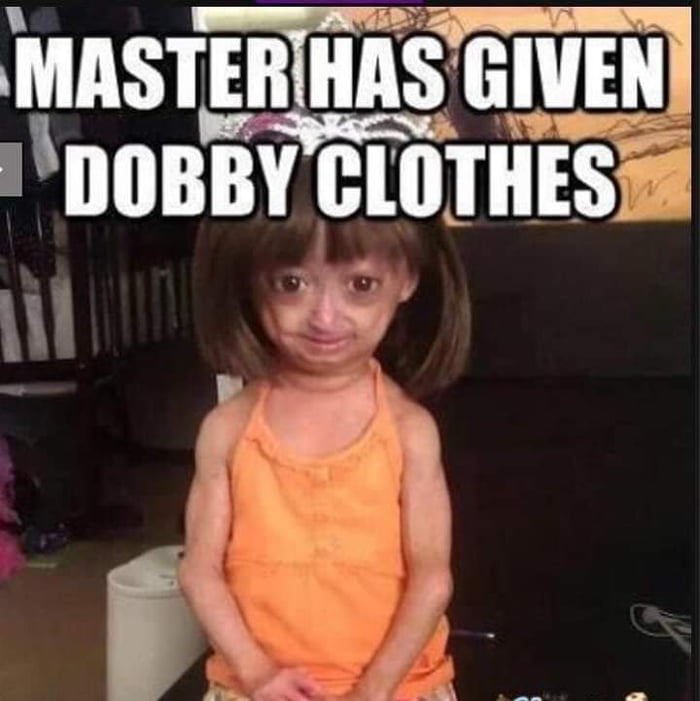 Had mastered. Dobby has no Master. Master has presented Dobby with clothes meme.