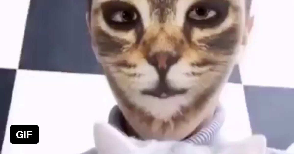 Cat with angry face filter, What's so funny!!?💢, By 9GAG