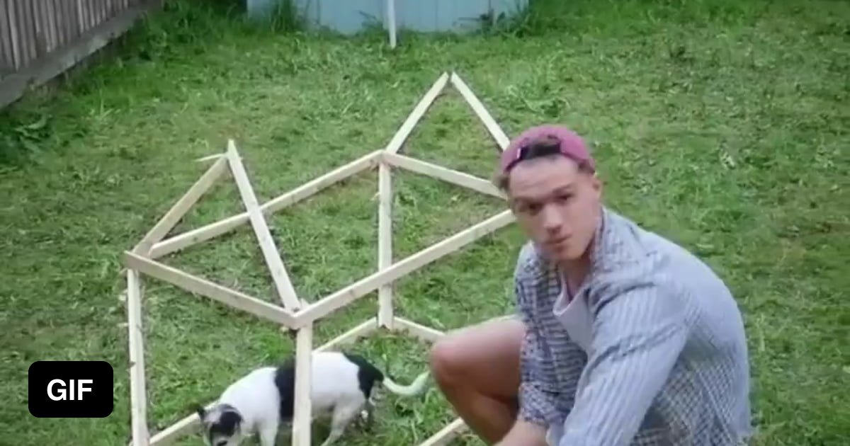 A Dog House Frame 9GAG a-dog-house-frame-9gag