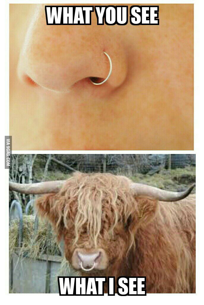 My reaction to nose rings 9GAG