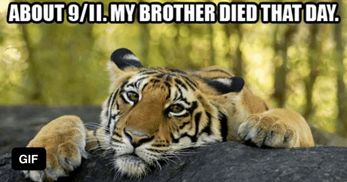 I miss him every day - 9GAG
