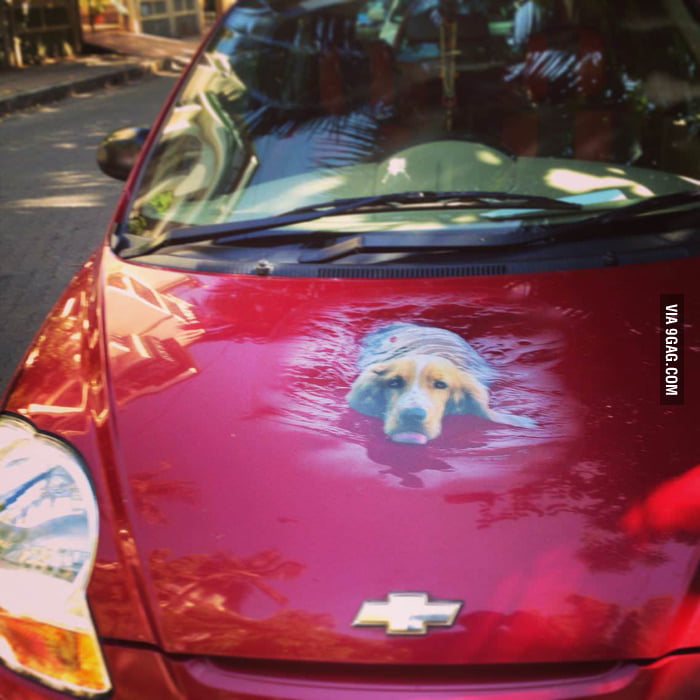 Best car sticker I've ever seen! 9GAG