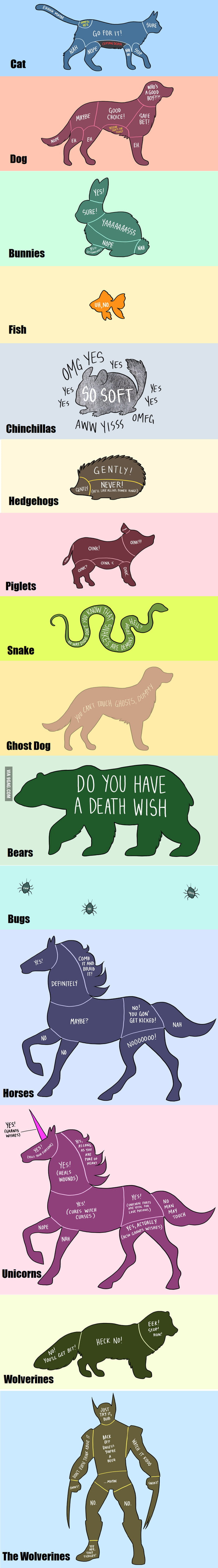 How To Properly Pet Animals - 9GAG