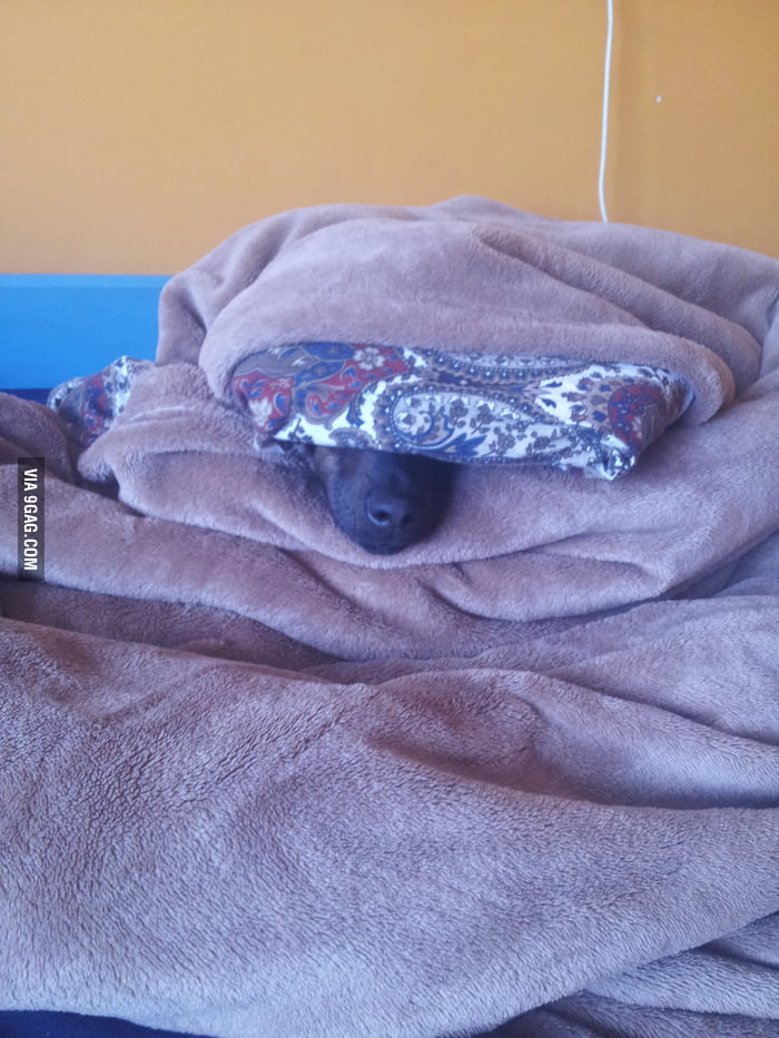 You know it's cold in my room when... 9GAG