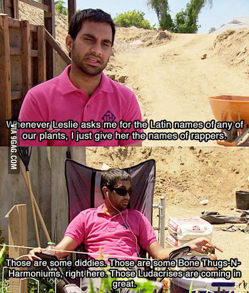 Latin names of our plants