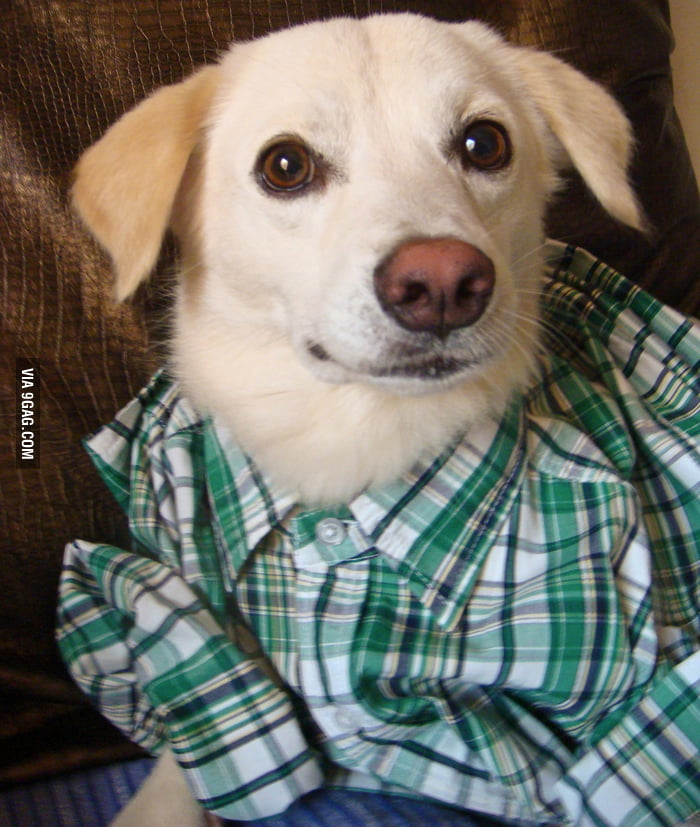 Another day at the office - 9GAG