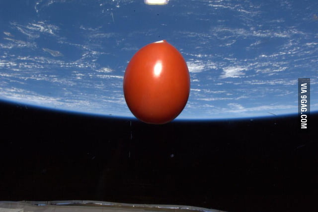Yes, this is a fresh tomato orbiting in space at 4.8 miles per second ...