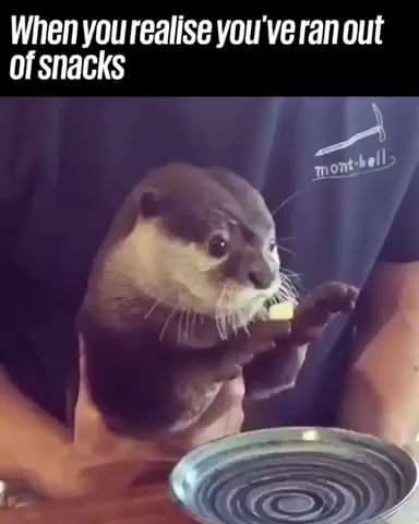 When you realise you've ran out of snacks - 9GAG