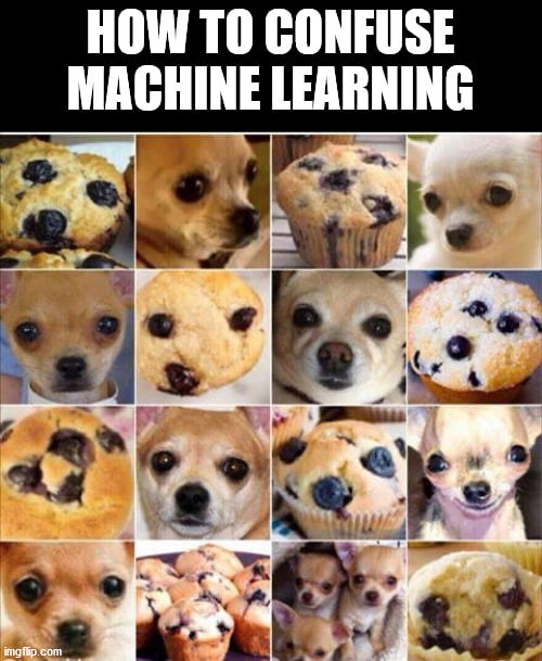 Muffin Dog - 9GAG