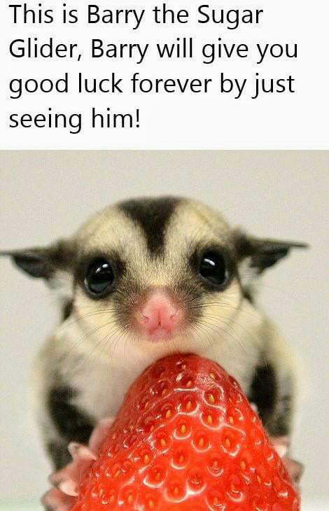 Barry loves you - 9GAG