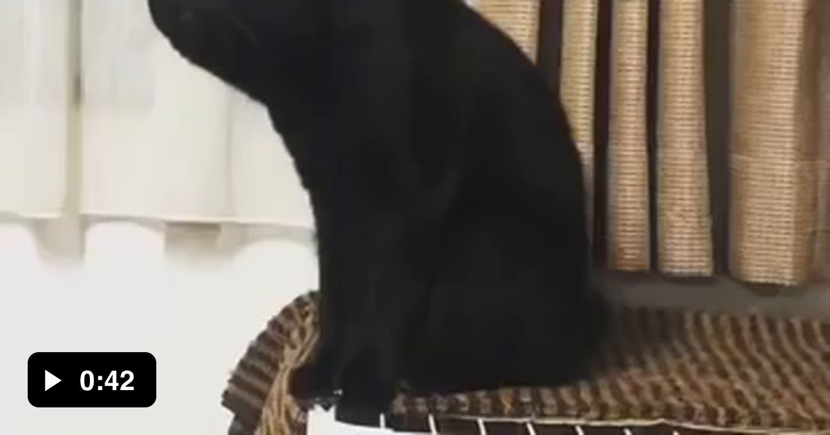 Just in case if you don't know the original video of the longneck