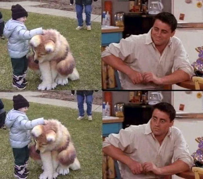 Kid pets furry 9GAG