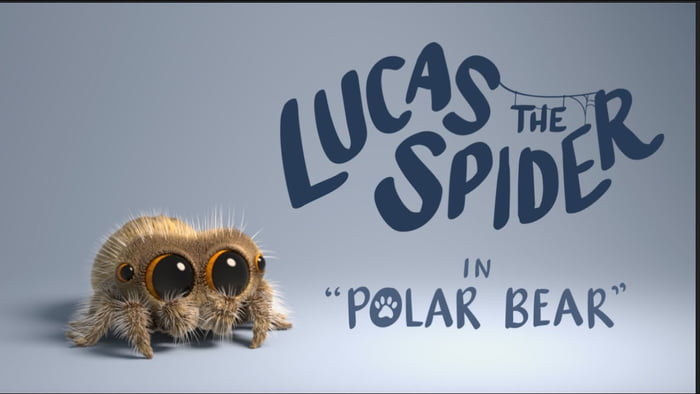 Lucas the Spider - Polar Bear