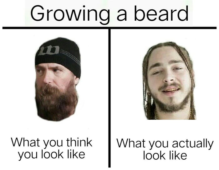 I Can T Grow Facial Hair I Grow Hair On My Face 9gag